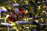 ф IMG_6526.jpg